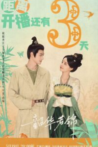 Thiều Hoa Nhược Cẩm