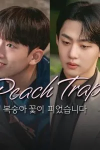 Peach Trap