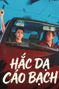 Ánh Sáng Đêm Tối (Hắc Dạ Cáo Bạch)